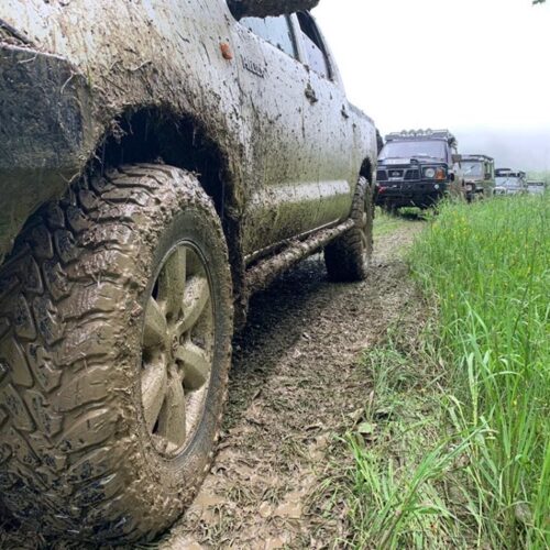 60657932_2262076100518856_1471979605526052864_n