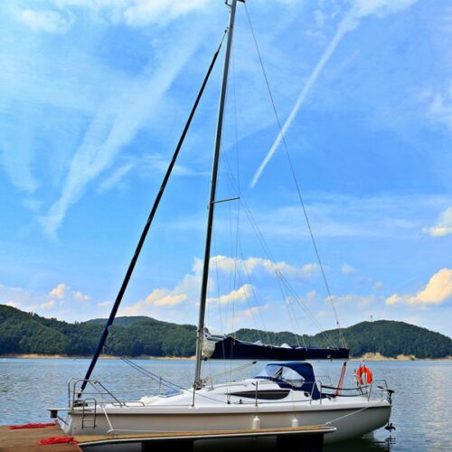 młody-wilk-600x600-2